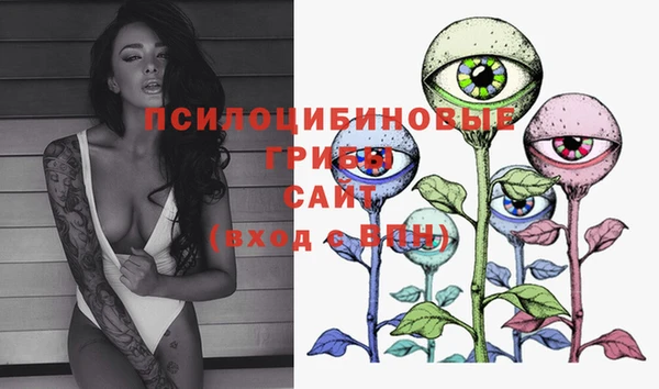 стафф Медногорск