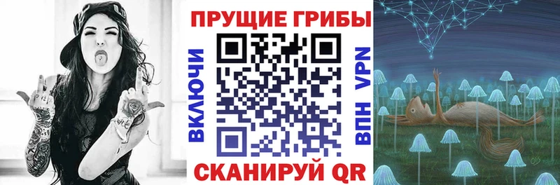 Галлюциногенные грибы Psilocybe  Купить закладки  Изобильный 